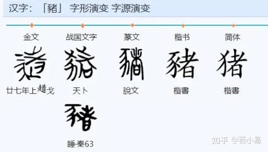 猪字的演变过程图解释图片