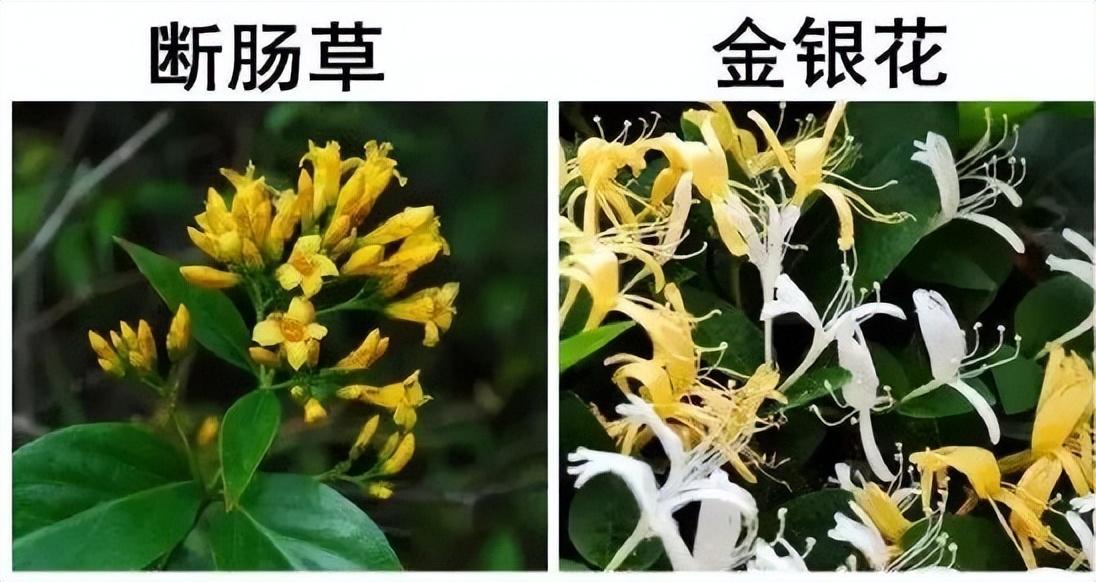 食物中毒是一种怎样的体验? - 知乎