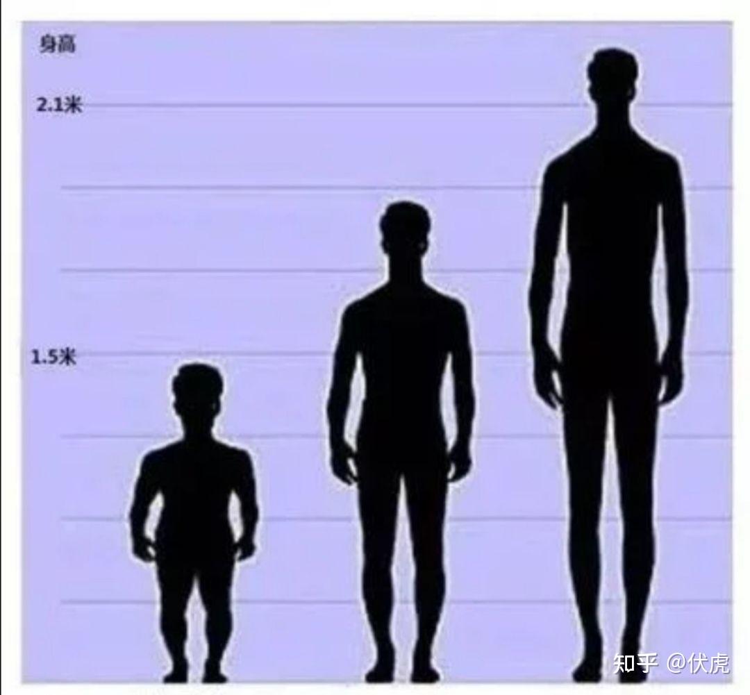 西式奇幻中的人类，矮人，半身人，侏儒除了身高上的区别外，它们的其它生理特征（新陈代谢或器官）都一样吗？ - 知乎