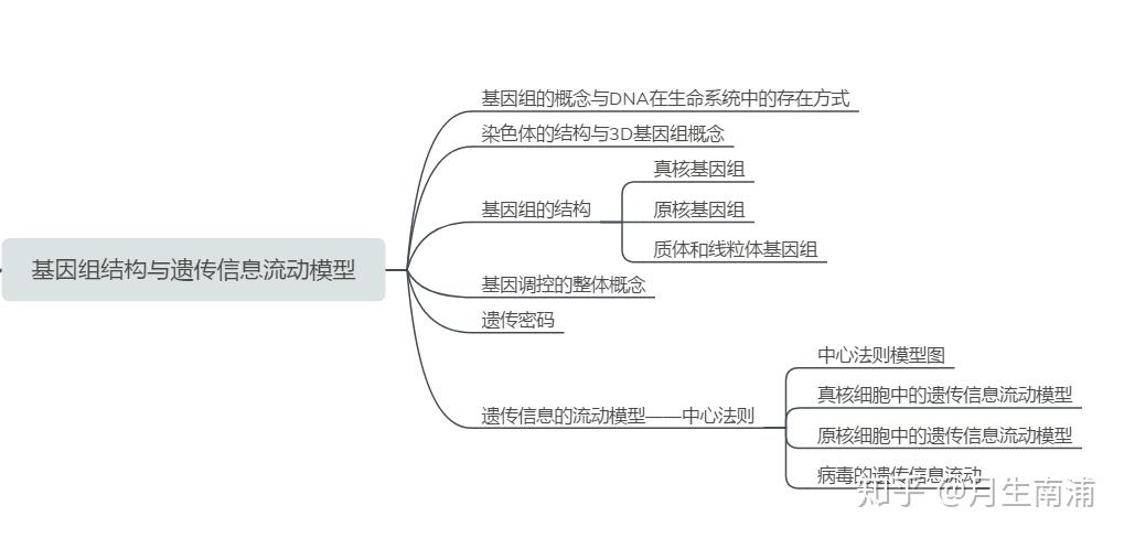 v2-42dbe41becf53f47c2f0a06e167a1a7c_r.jpg