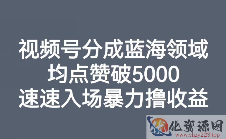 视频号分成蓝海领域，均点赞破5000，速速入场暴力撸收益