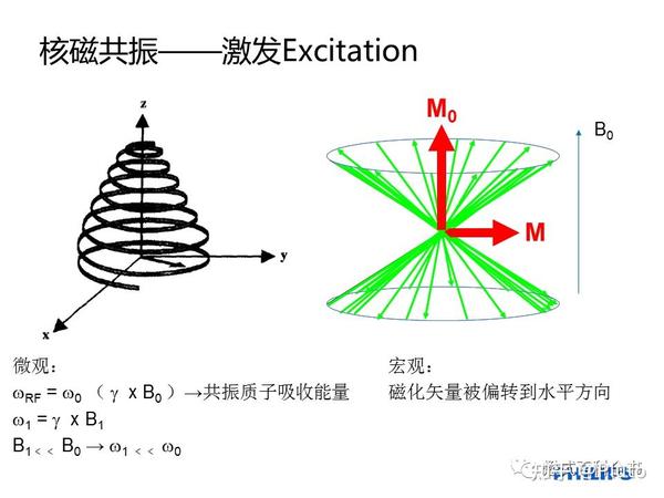 sMRI磁共振成像的物理学原理 - 知乎