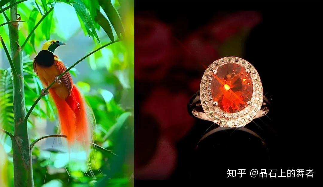 它就是珠宝界的“火凤凰”——火欧泊 - 知乎