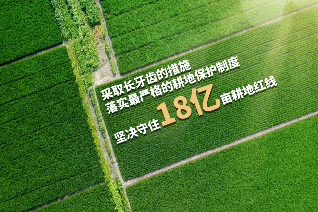 18亿亩耕地红线现在怎么样了