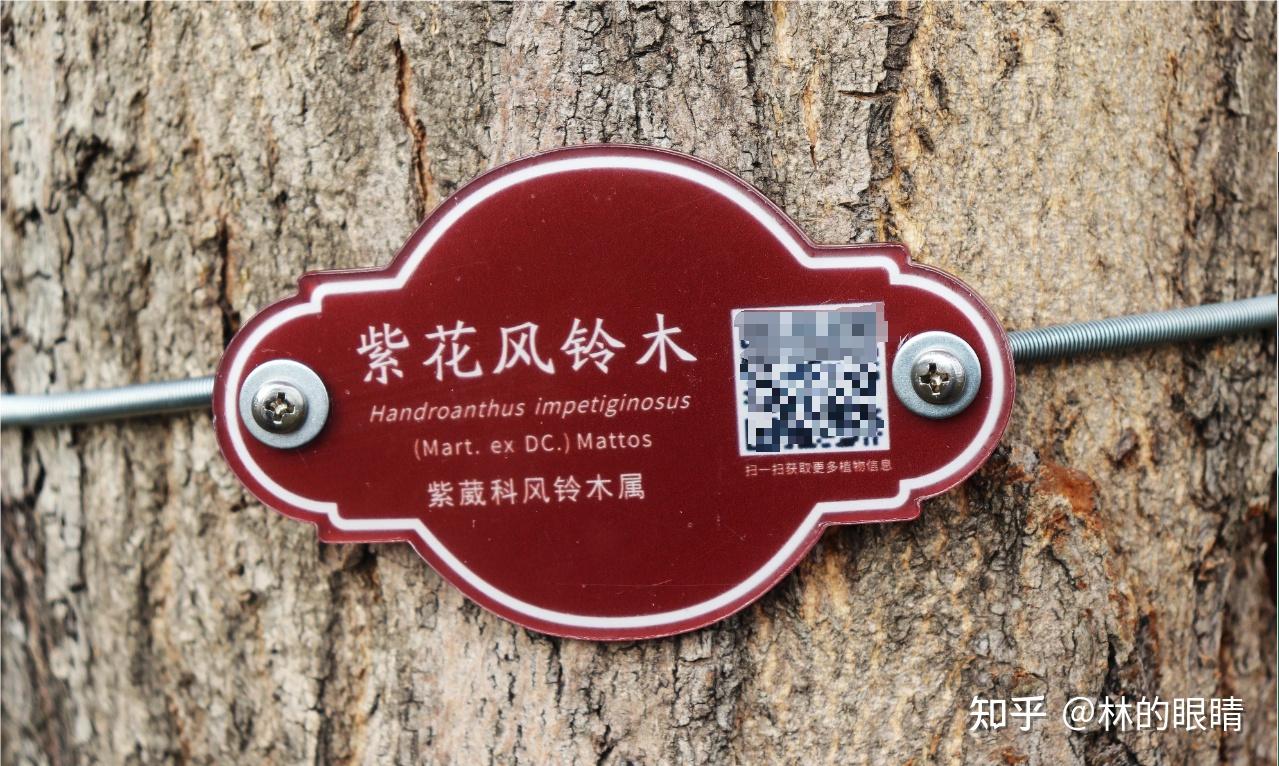 二维码标签制作攻略：如何选择苗木树牌制作工具？ - 知乎