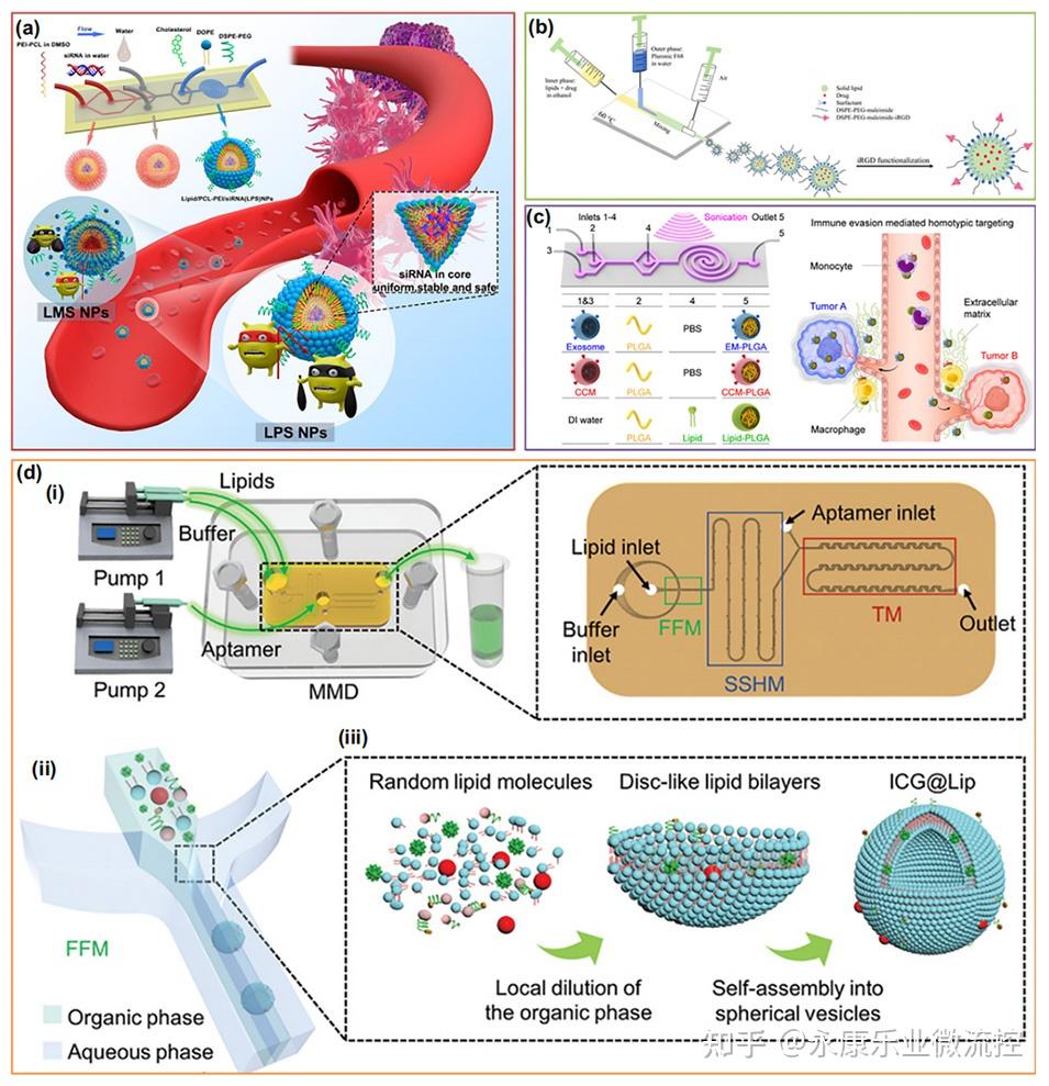 一张图读懂综述：微流控定制肿瘤治疗药物输送系统 - 知乎