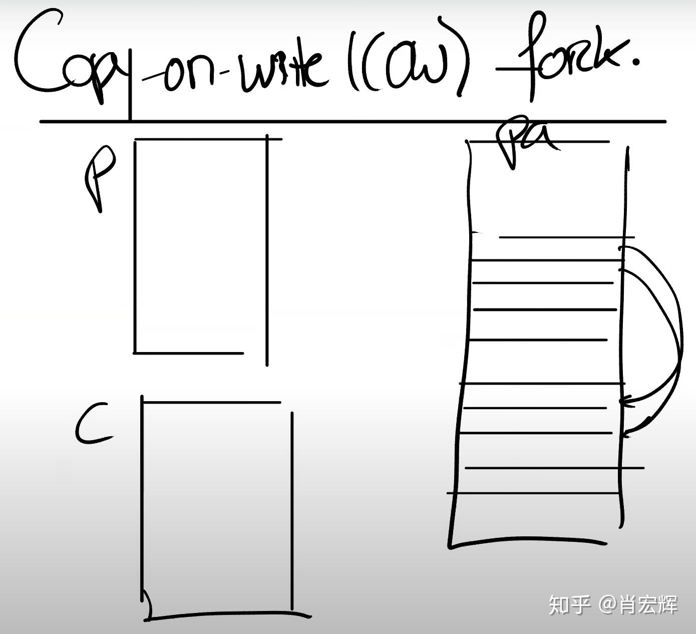8.4 Copy On Write Fork - 知乎