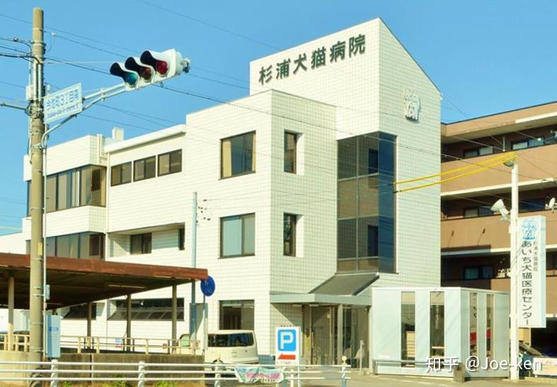 日本top10动物医院营业报告(东京圈/中部/近畿地区2016数据)(人气动物