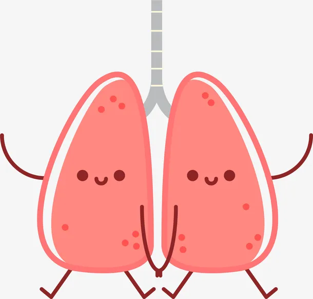 打鼾长期使用呼吸机对肺部的影响 - 知乎