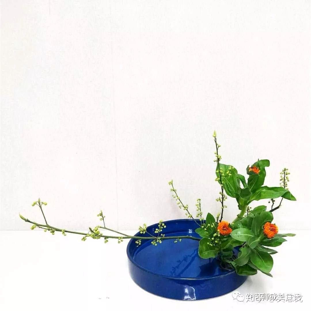 平卧式不等边三角形不等边三角形是东方插花最基本最常见的造型,其