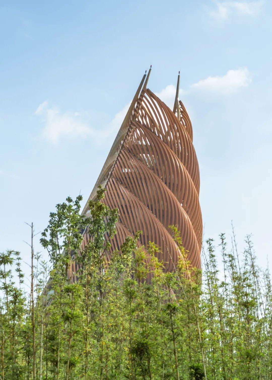 设计灵感丨年度最笋建筑出炉了