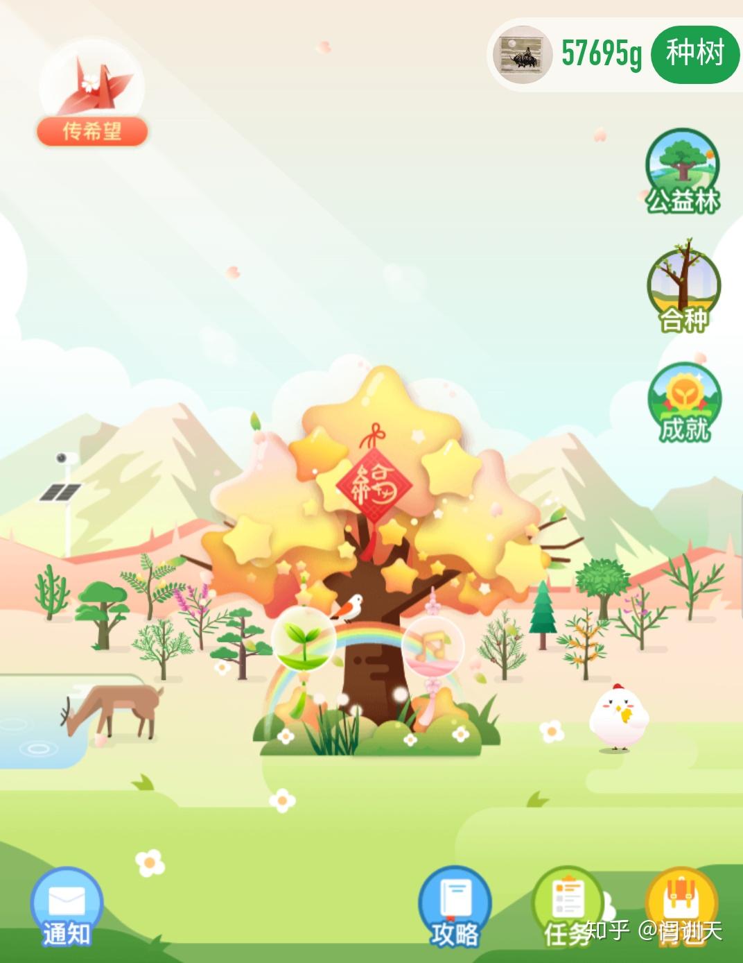 在蚂蚁森林有没有人坚持种樟子松和胡杨的?