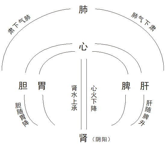 中医气血循环圆运动