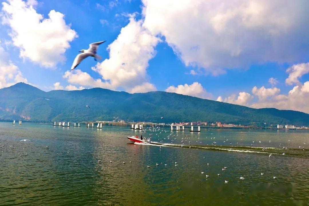 滇池和洱海哪个大？滇池 vs 洱海：云南两大湖泊对决！ - 知乎