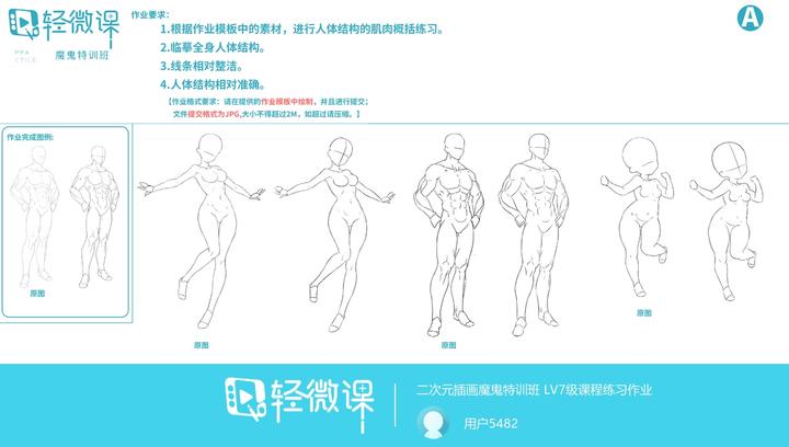 零基础学绘画从哪里入手 - 知乎