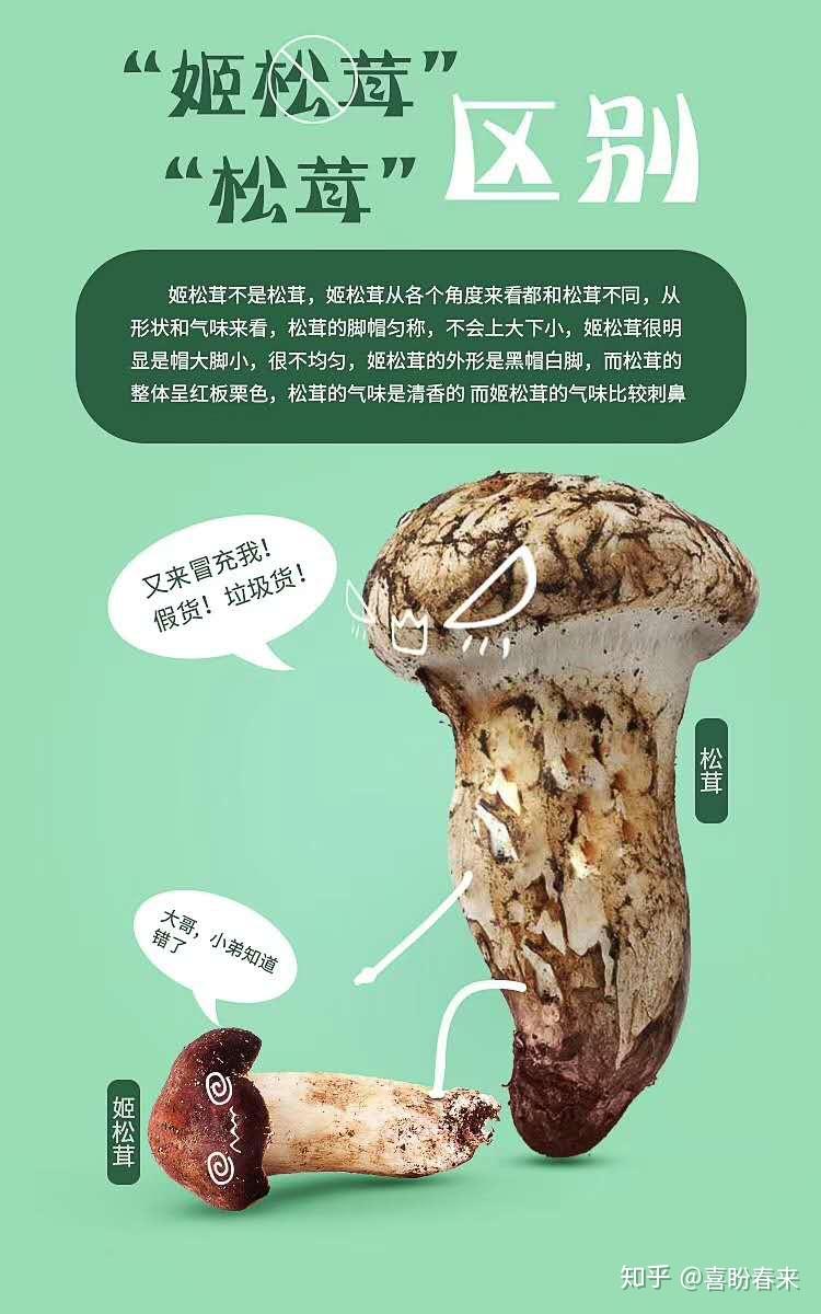 松茸和姬松茸的区别