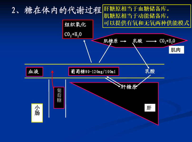 中国人长期偏重碳水饮食 为什么没有普遍发胖 知乎