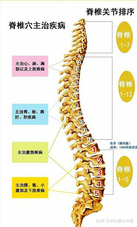 快进来自己测试一下吧