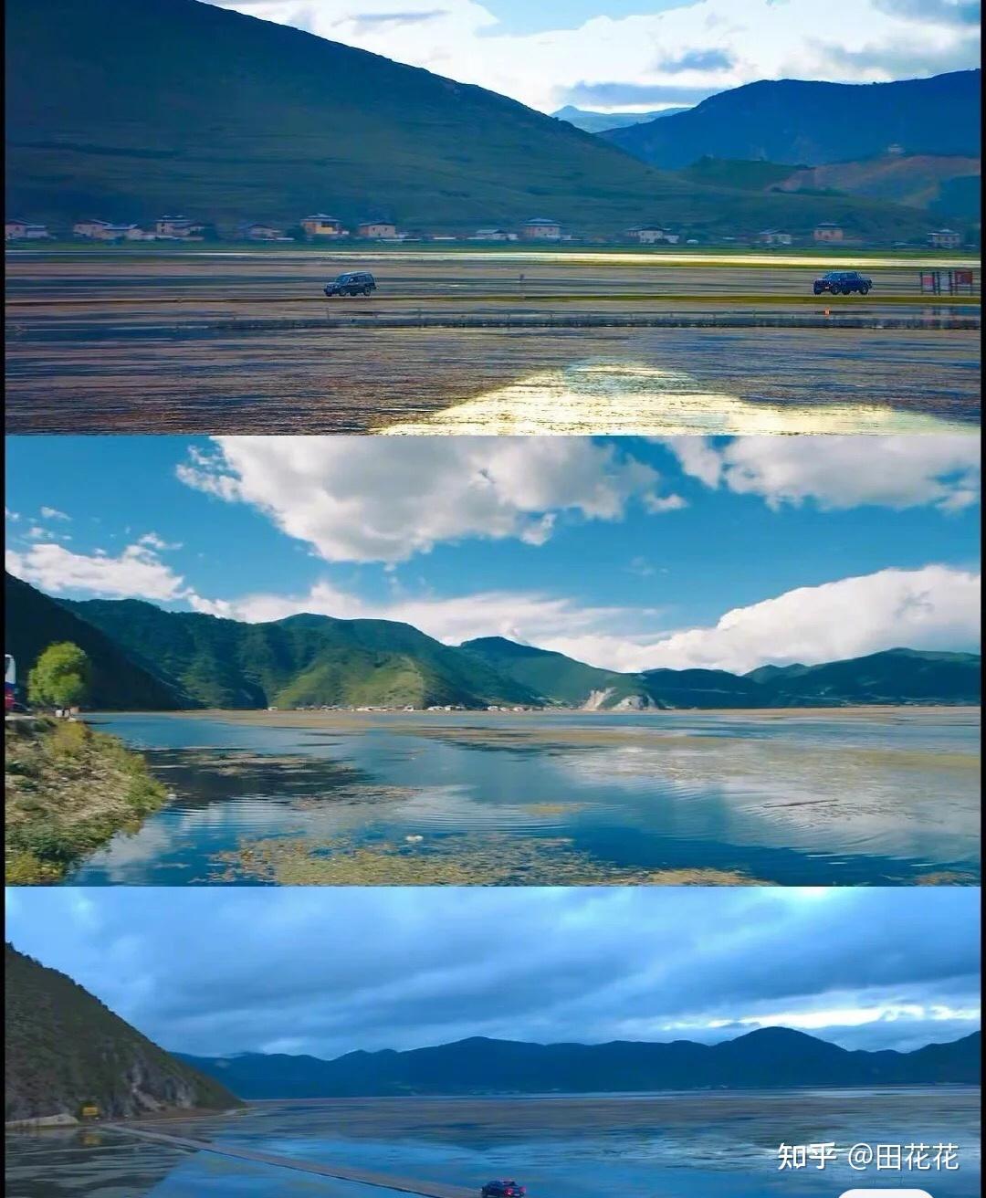云南旅游打卡司藤取景地