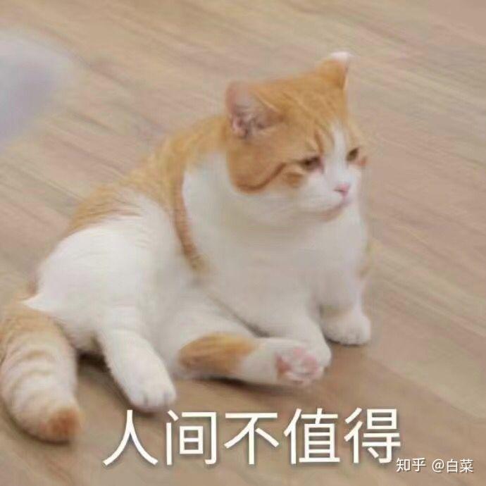 v2-434144360130ee88bec345c9a95f2ac0_r.jpg