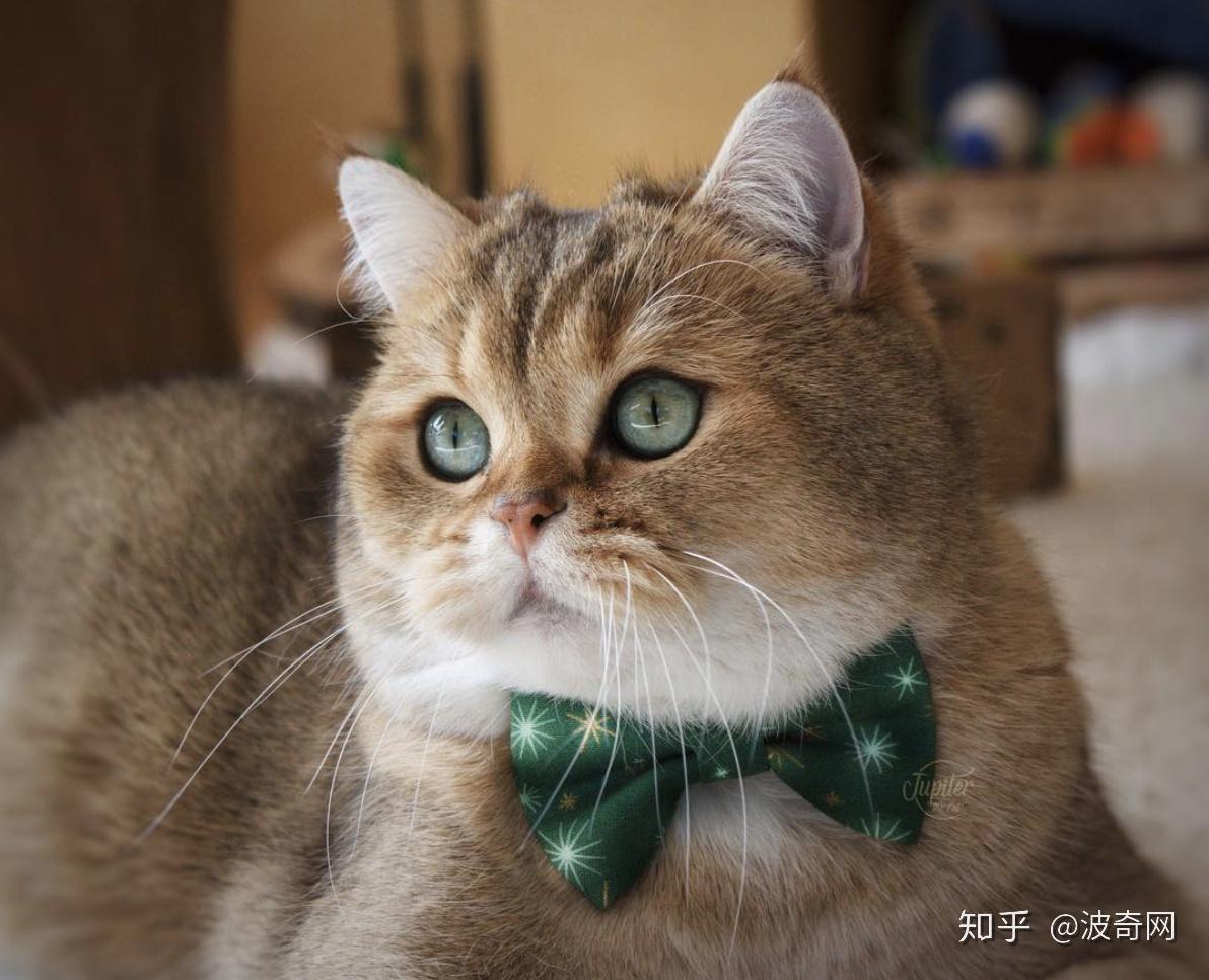 jupiterrising的简单介绍