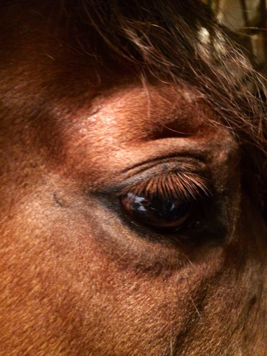 作为航空乘务员,在飞机上遇到过哪些有趣的事