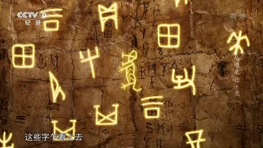 央视纪录片 “字”从遇见你 第二十二集《虎》 - 知乎