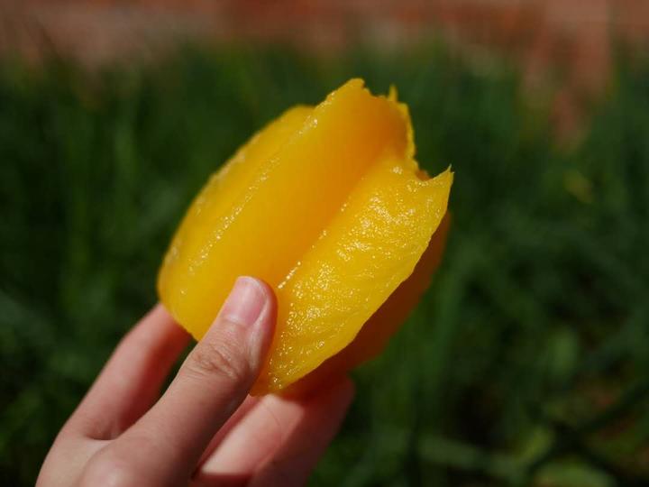 Q的美食分享记:树上熟软枝杨桃 - 知乎