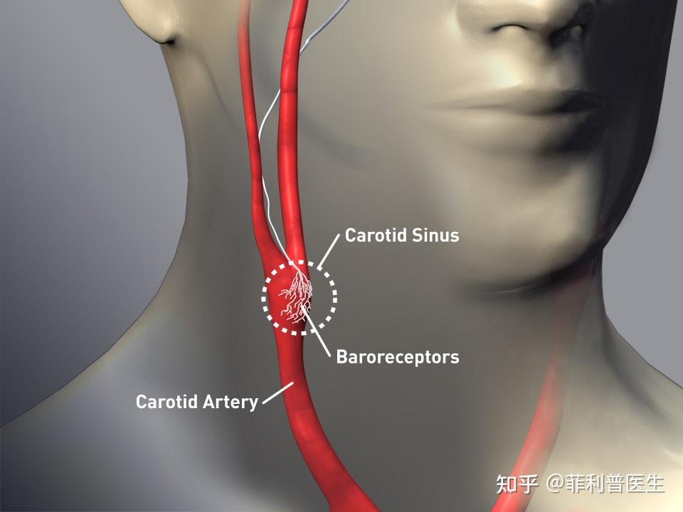 官方通报灵璧渔沟中学事件网传围殴视频系恶意嫁接嫌犯