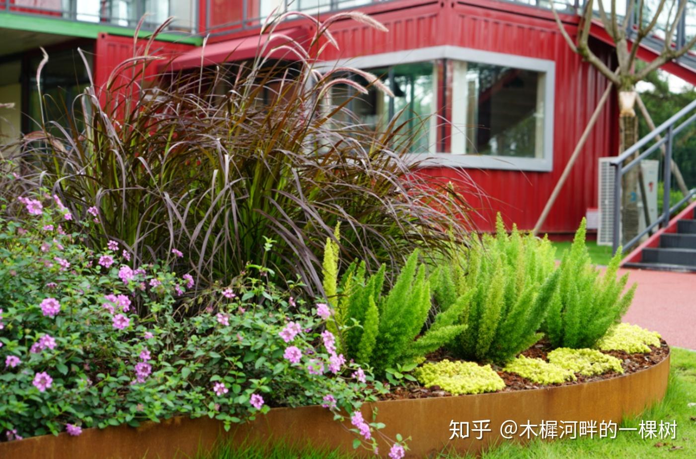 如何完成花境从设计到落地实施? - 知乎