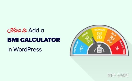 如何在 WordPress 中添加 BMI 计算器（逐步） - 知乎