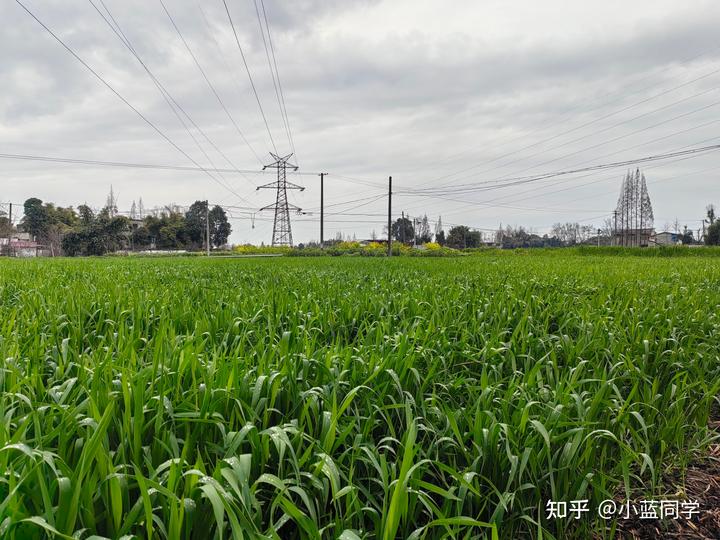 人，可以废物到什么程度？