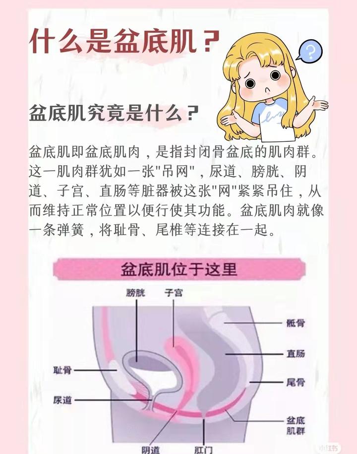 产后漏尿是盆底肌松弛需要系统的产后修复来解决