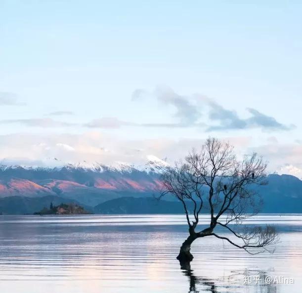 心淡定生活方自如