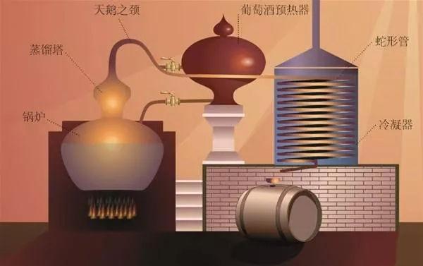 泰森德酒庄夏朗德壶式蒸馏法为何会成为干邑的独特之处