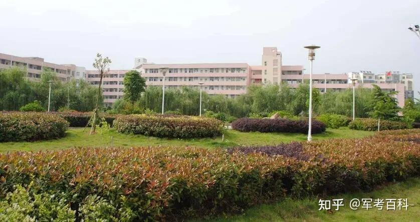 伟德国际四大证券报纸头版内容精华摘要（11月25日）