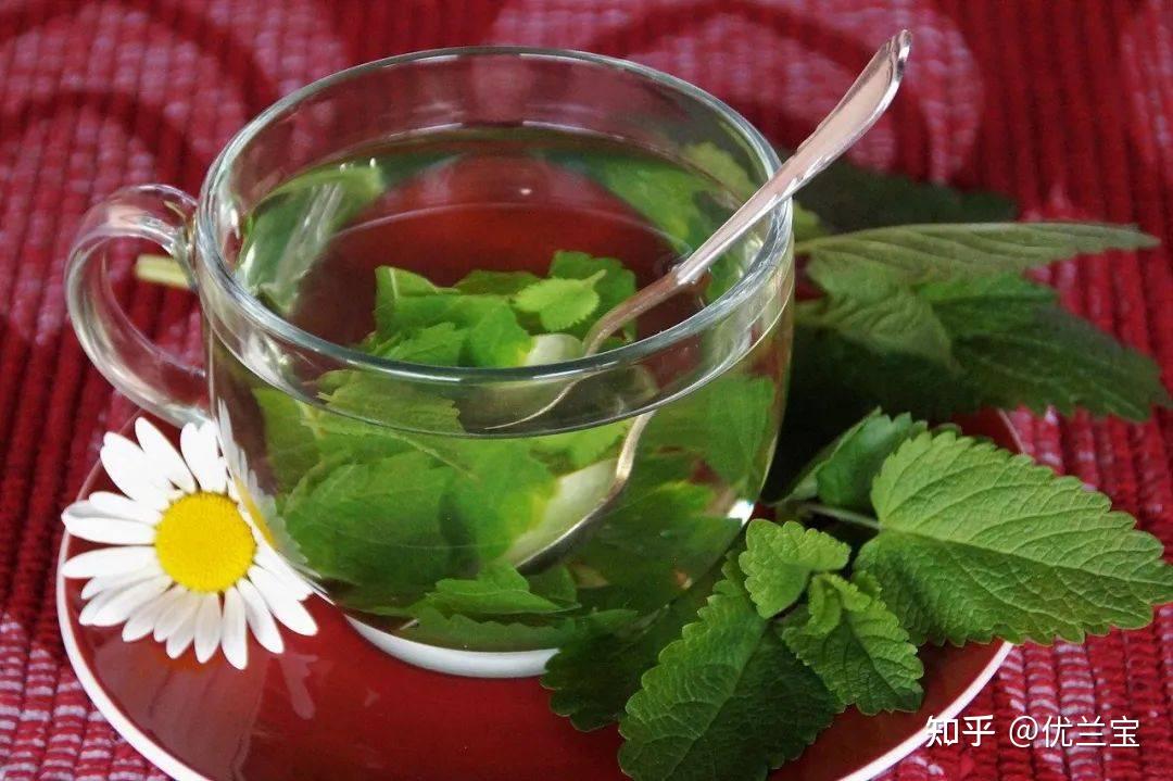 植物提取物添加剂及植物提取物替抗产品概述 - 知乎