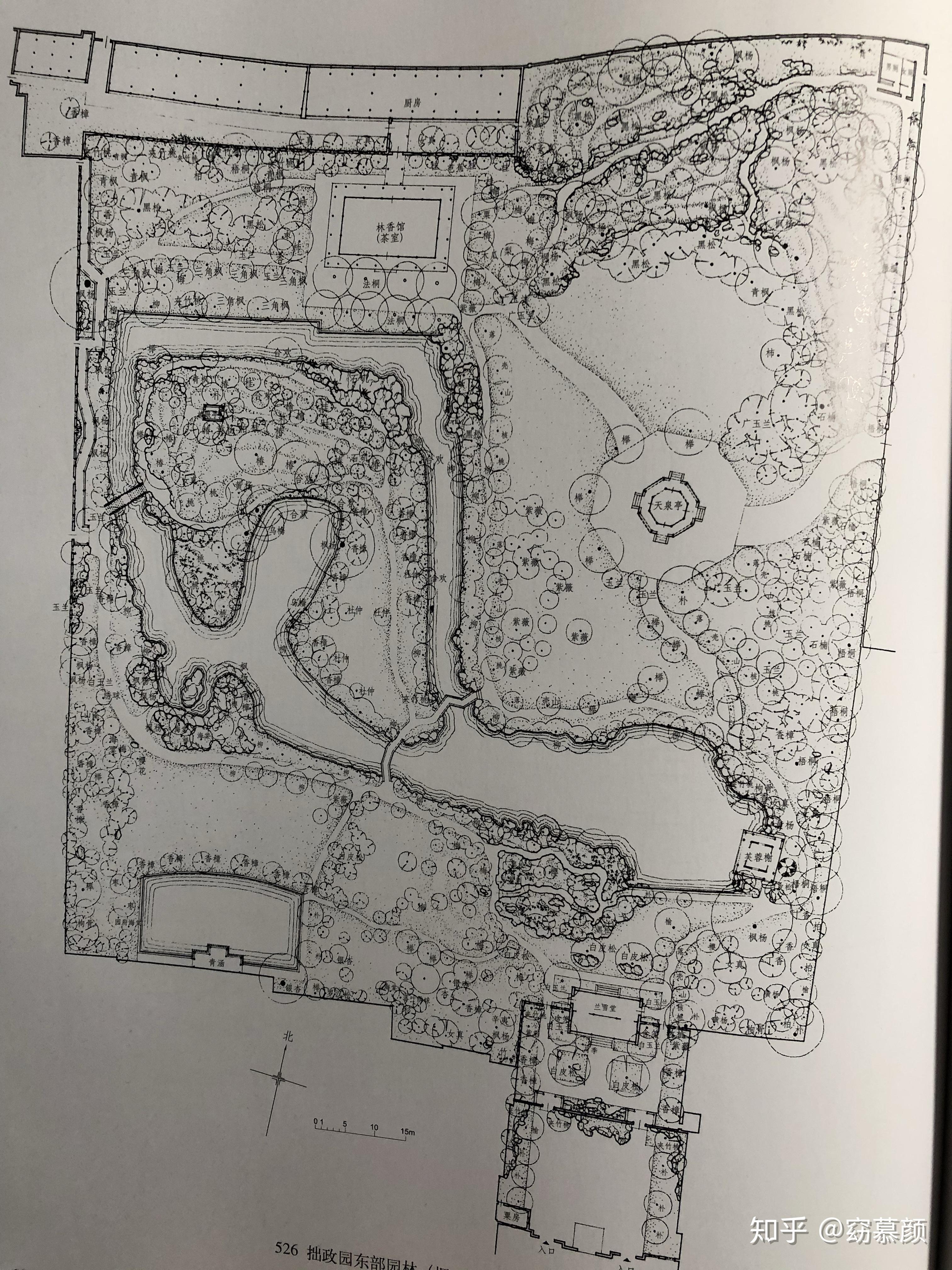 苏州拙政园的植物配置怎么做的