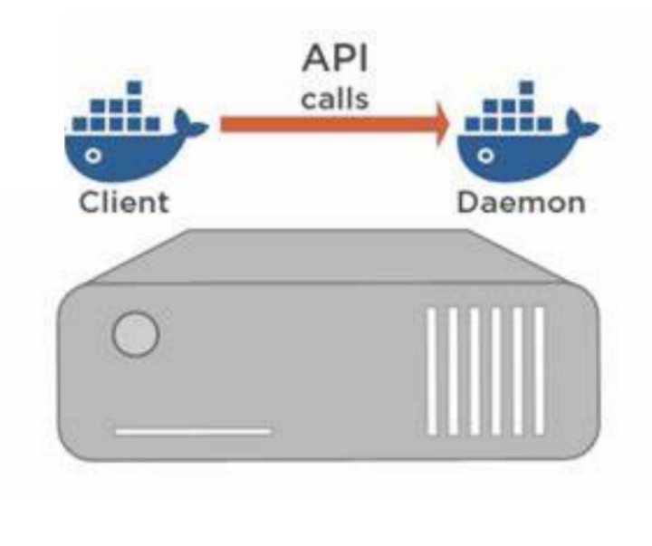 Docker pai docker cp 