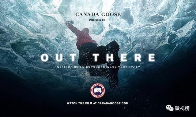 加拿大鹅海报图片