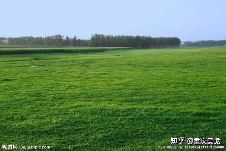 古代军队为了保持行军安静,非要嘴里“衔枚”吗? - 知乎
