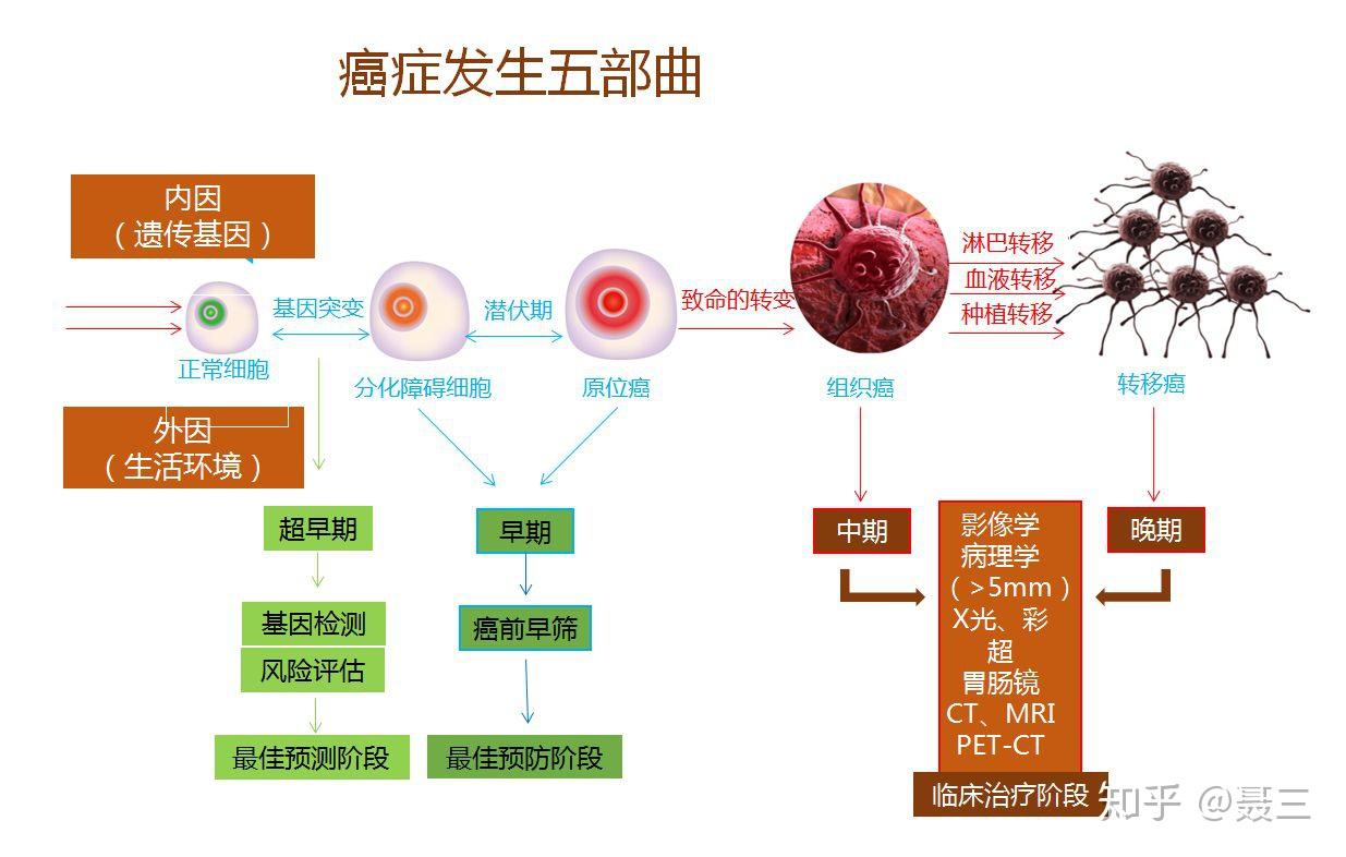 癌细胞是怎么形成的图片