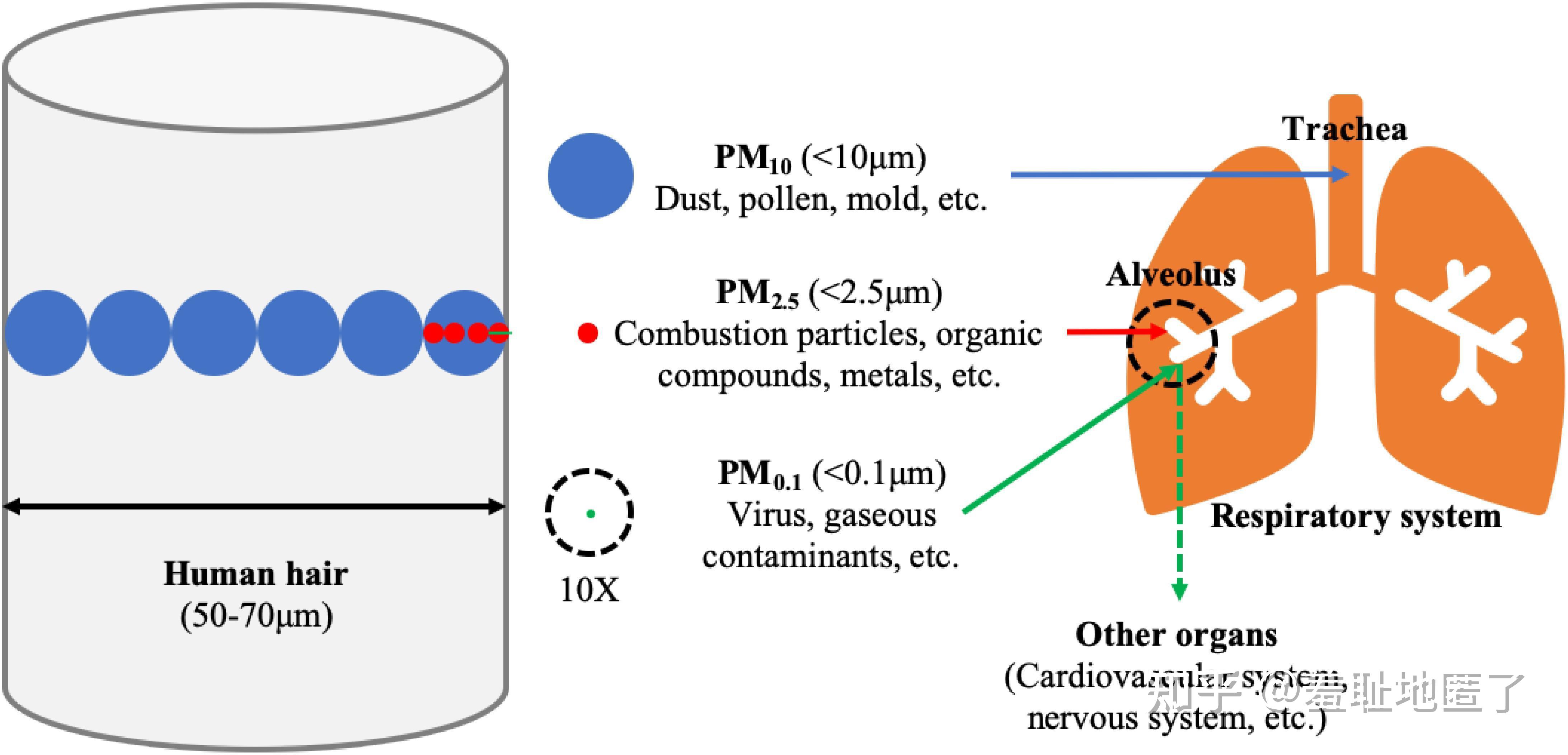 新装修的房子大家一般放多少时间可以入住