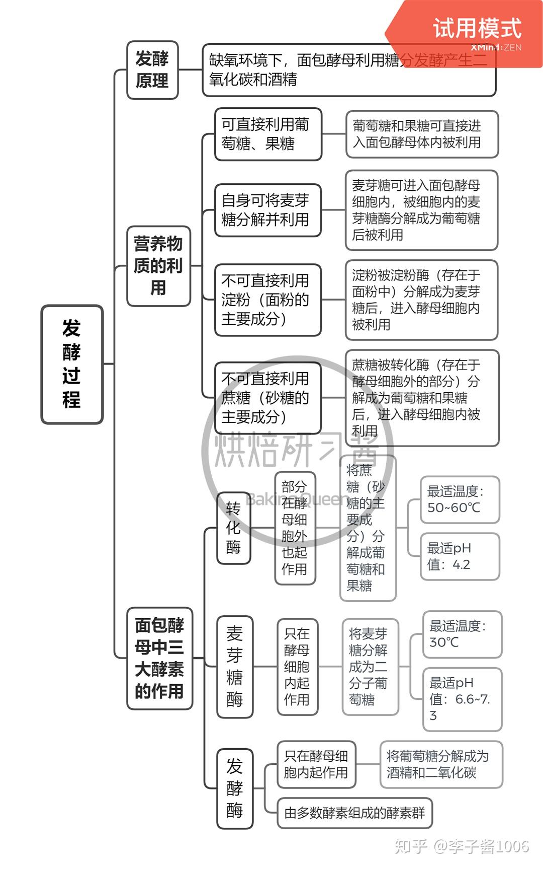 酵母菌的生活环境图片