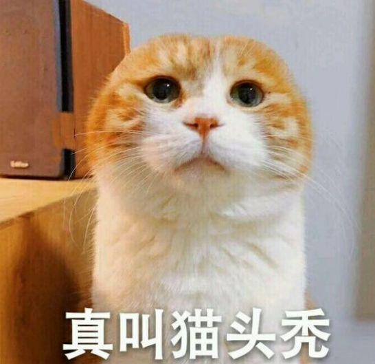 知乎