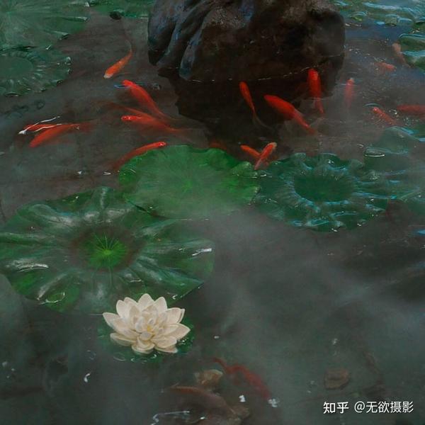 张乾琦（ChienChi Chang）摄影鉴赏 知乎