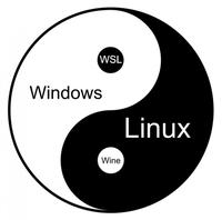 不为人知的linus大神