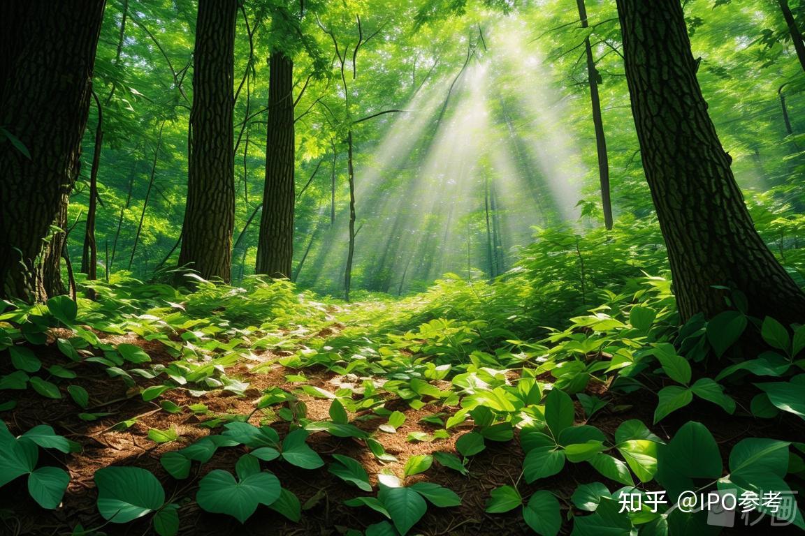 ipo参考暴雪和网易复合了支付宝崩了