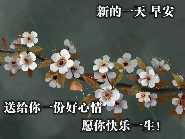 每日清晨正能量问候语 v2-43c9727fea1e93d235e8e2b13fa83d48_r.jpg
