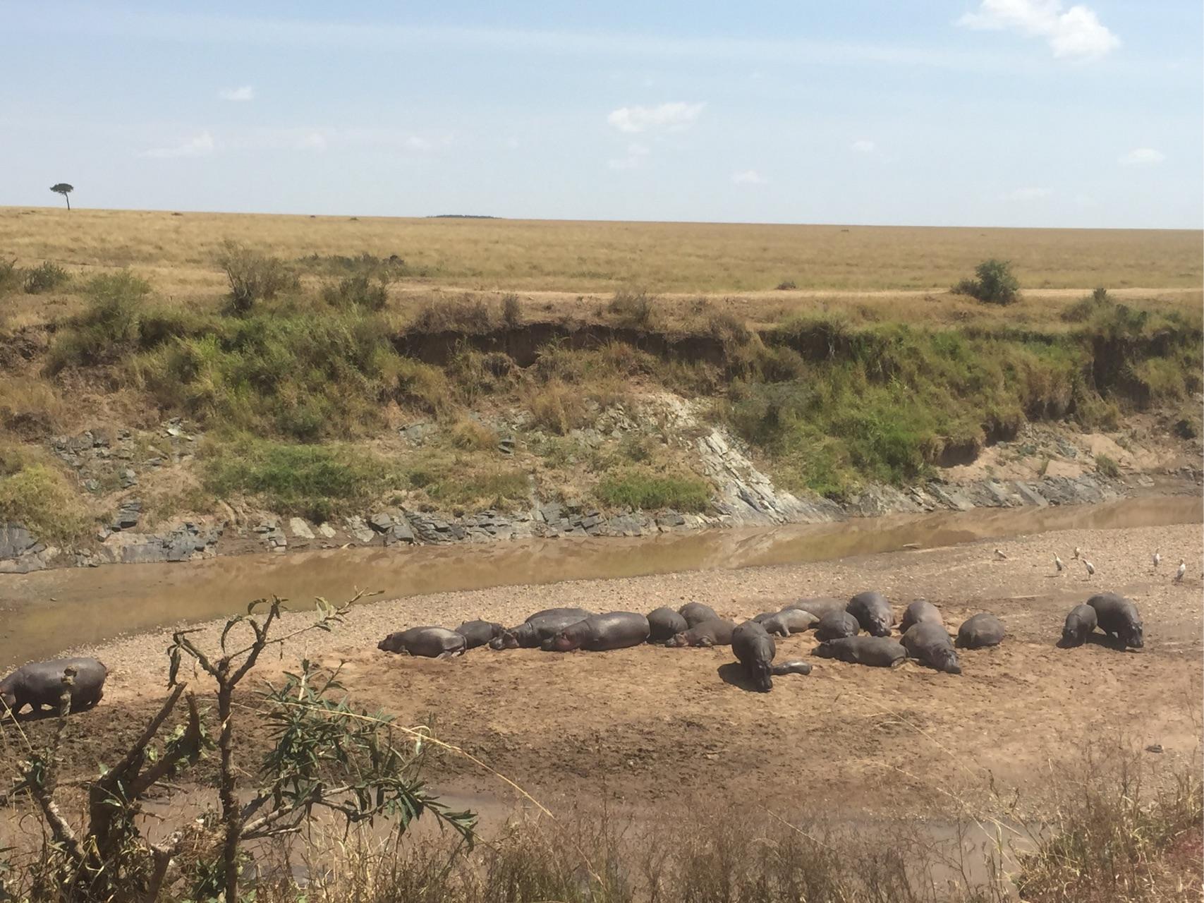 去肯尼亚旅行是一种什么体验?